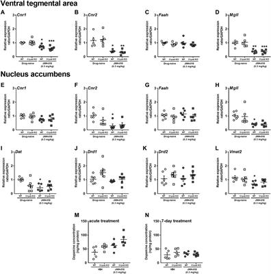 Deletion of Cryab increases the vulnerability of mice to the addiction-like effects of the cannabinoid JWH-018 via upregulation of striatal NF-κB expression